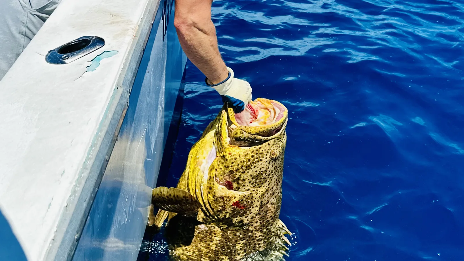 Deep Reef & Wreck — Key Largo