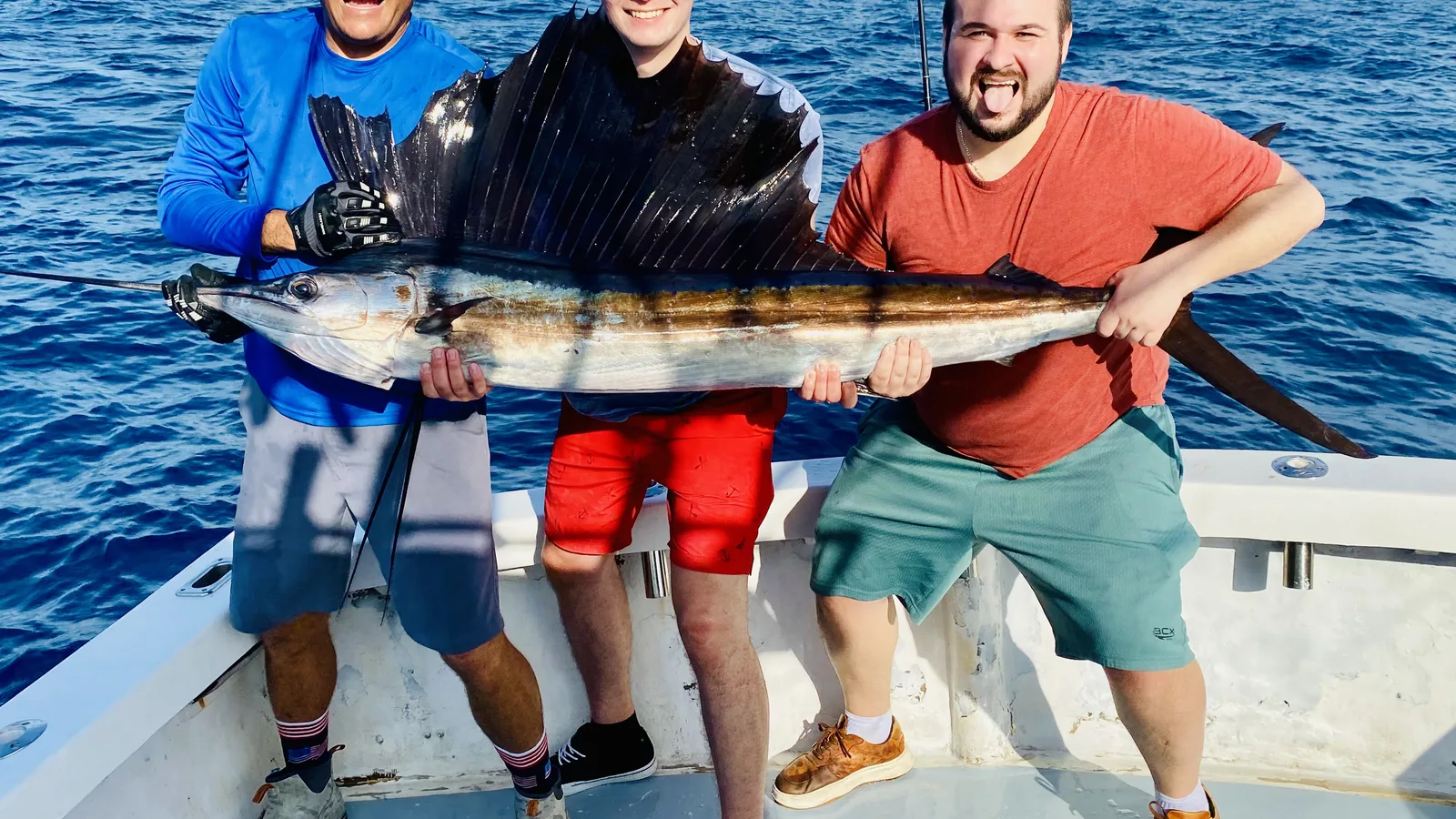 Sailfish caught on a Gulf Stream charter off Key Largo, Florida